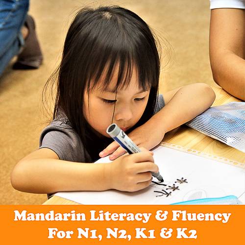 YouLe Mandarin Literacy & Fluency Class